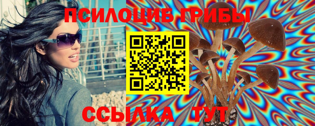 Большой Камень  цена наркотик  Вход с VPN  Галлюциногенные грибы мухоморы  Галлюциногенные грибы мухоморы 